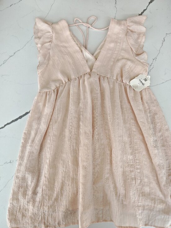 Altar’d State Blush Pink Textured Mini Dress ✨ Ruffle Sleeve Boho Babydoll Tie B - Picture 2 of 10